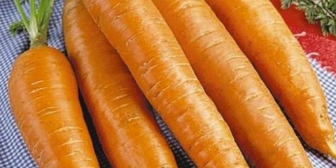 Šargarepa baby slatkiši